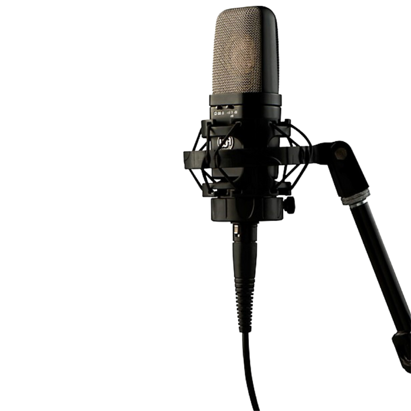 Warm Audio WA-14 Micrófono de condensador de diafragma grande